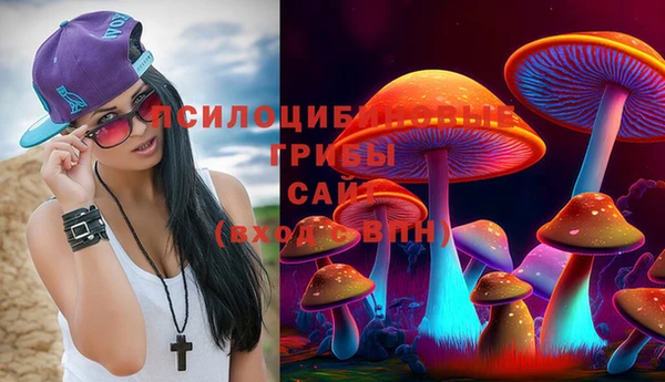 ГАЛЛЮЦИНОГЕННЫЕ ГРИБЫ Алексин