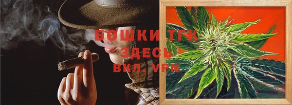 ГАЛЛЮЦИНОГЕННЫЕ ГРИБЫ Алексин