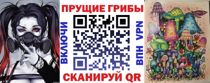 Псилоцибиновые грибы Psilocybine cubensis  как найти закладки  Барыш 